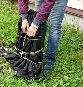 Tuintips - Van Buynder