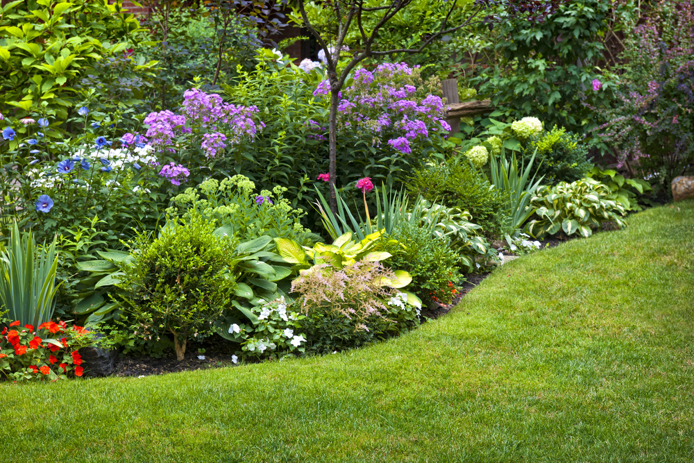 Alles voor uw tuin kopen tijdens onze koopzondag in Sint-Niklaas