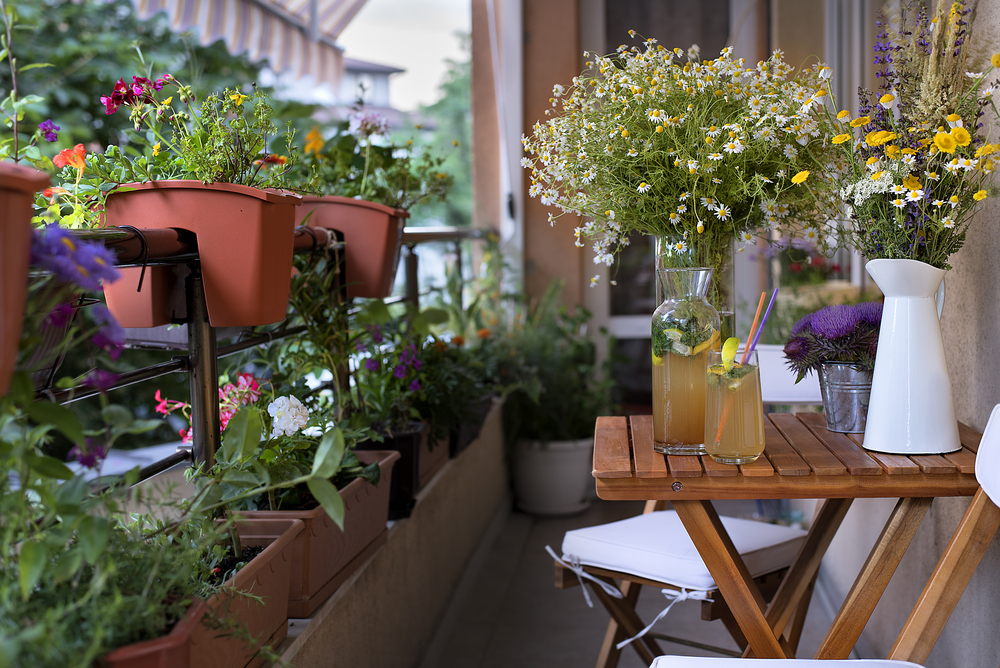 Planten kopen voor op het balkon nabij Sint-Niklaas